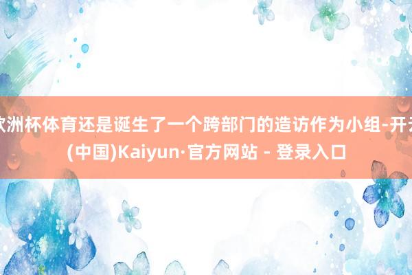 欧洲杯体育还是诞生了一个跨部门的造访作为小组-开云(中国)Kaiyun·官方网站 - 登录入口