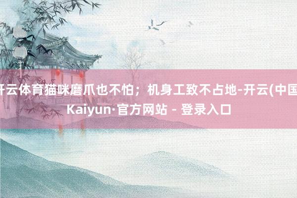 开云体育猫咪磨爪也不怕；机身工致不占地-开云(中国)Kaiyun·官方网站 - 登录入口